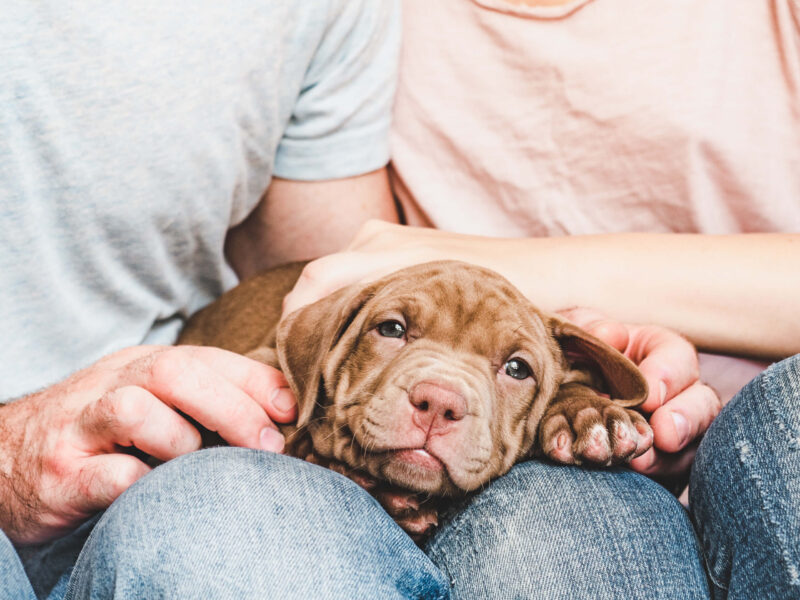 adobestock_276144599